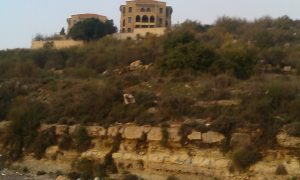 aley land for sale