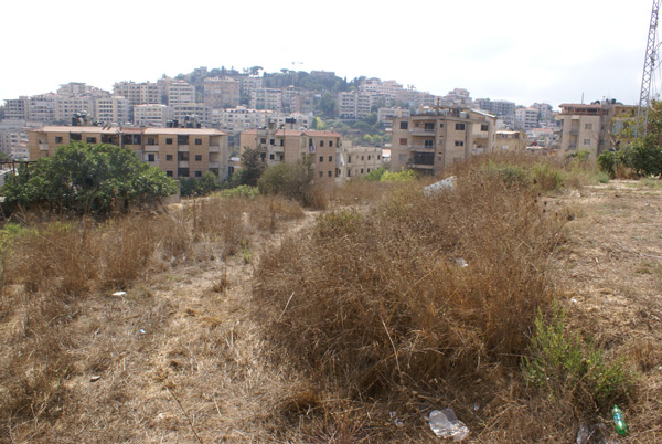 real estate land aley liban