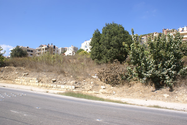 aley mount lebanon allotment for sale