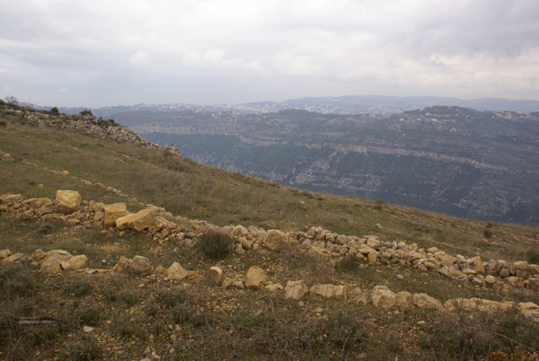 abadiyeh lebanon land for sale